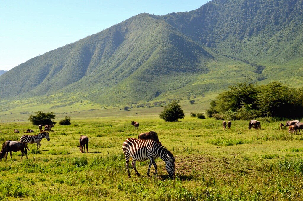 Exploring the Ngorongoro Crater: Tanzania’s Garden of Eden