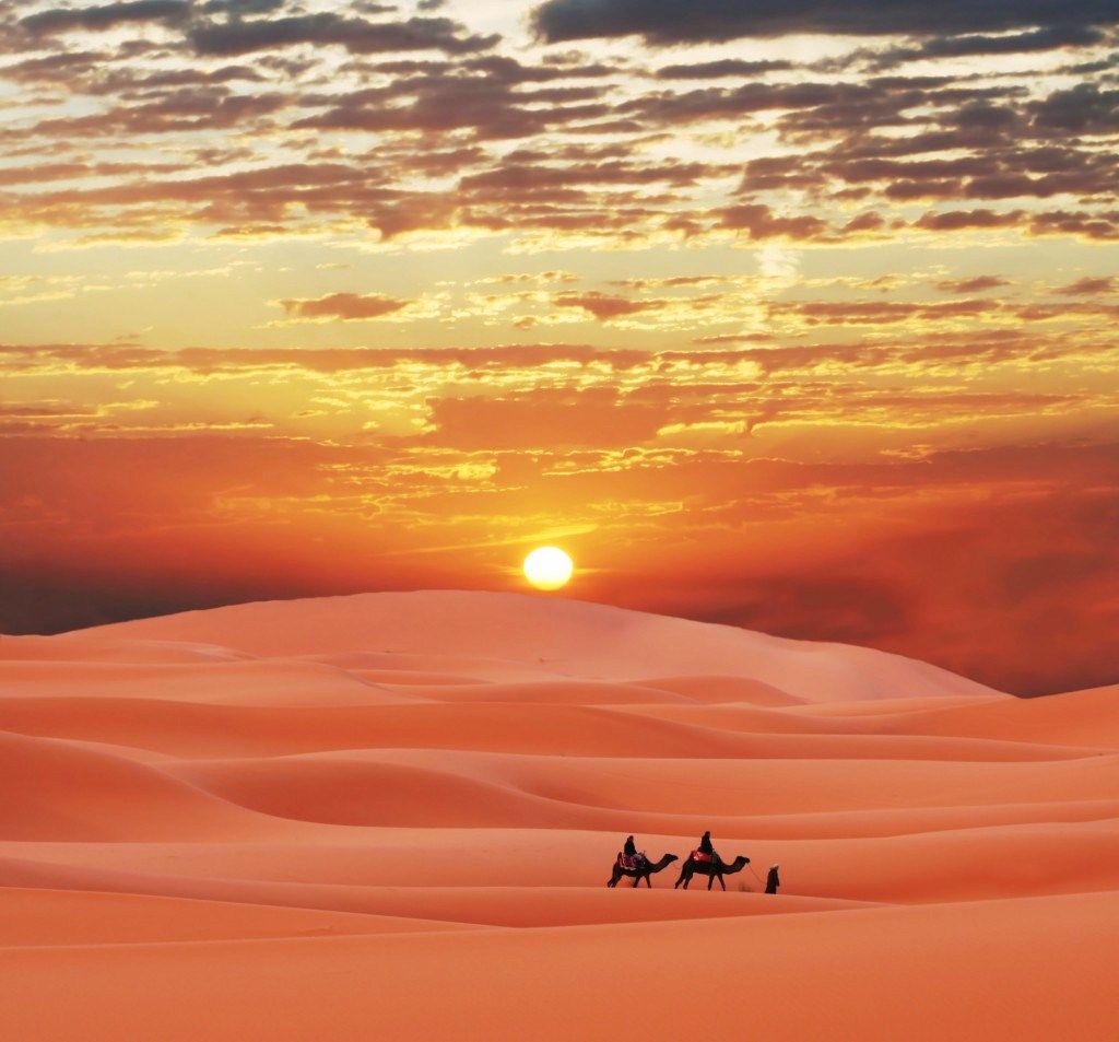 Discovering the Vast Beauty of the Sahara Desert